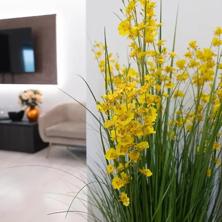 Hotel Alfiri 890